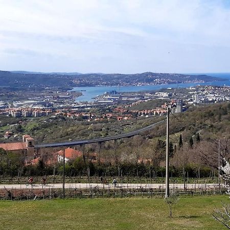 San Dorligo della Valle Bellavista Trieste מראה חיצוני תמונה