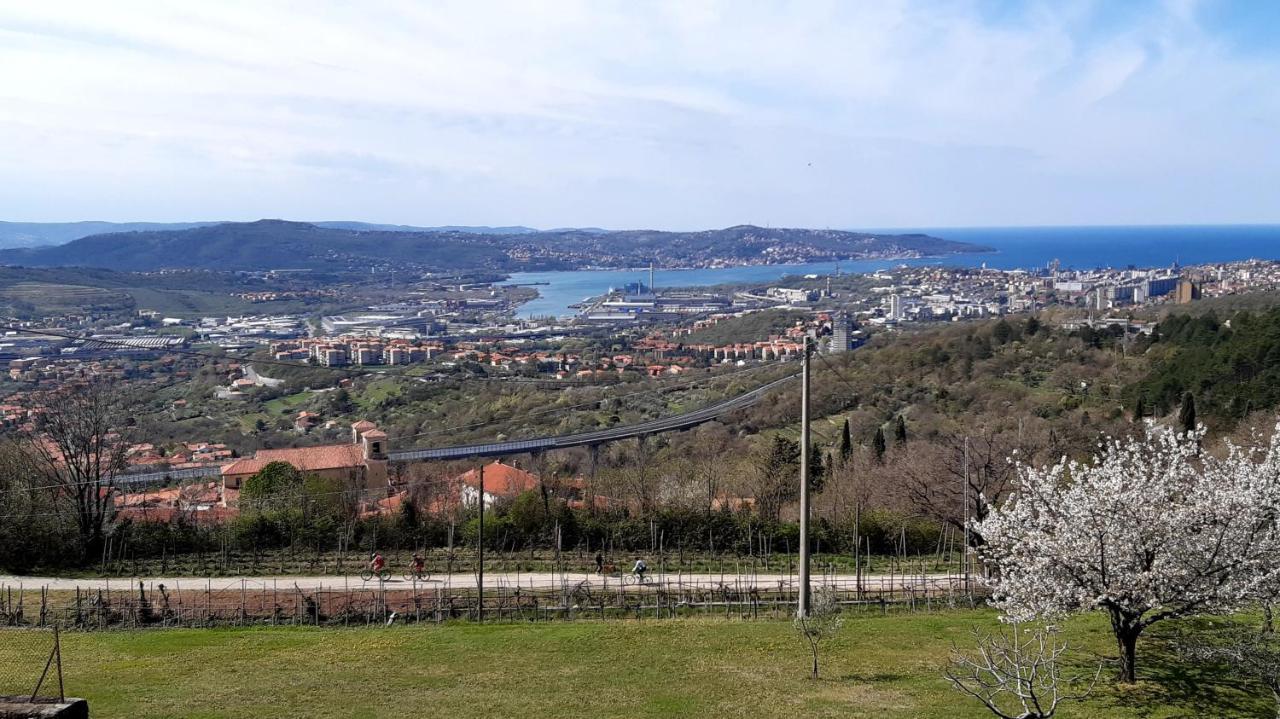 San Dorligo della Valle Bellavista Trieste מראה חיצוני תמונה